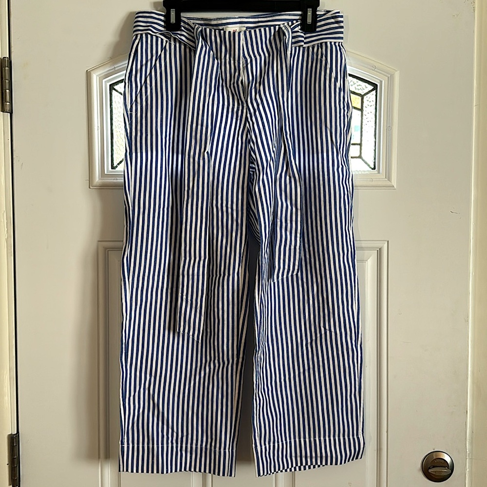 Vineyard vines blue striped pants